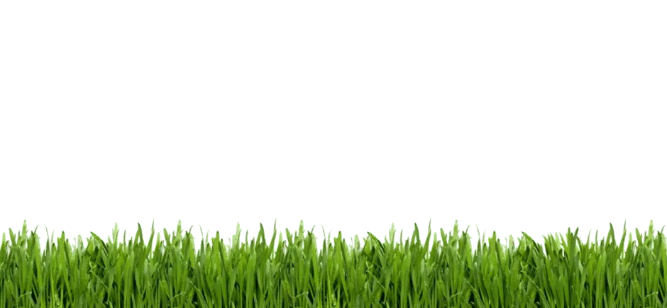 Green Grass, Lawn, Golf, Artificial Turf, Garden, Animation, Golf Course, Painting png